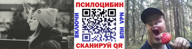 цены   Дрезна  Галлюциногенные грибы Cubensis 